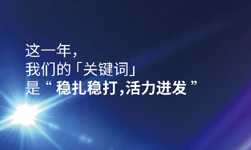 2023这一年，我们的关键词是“稳扎稳打，活力迸发”