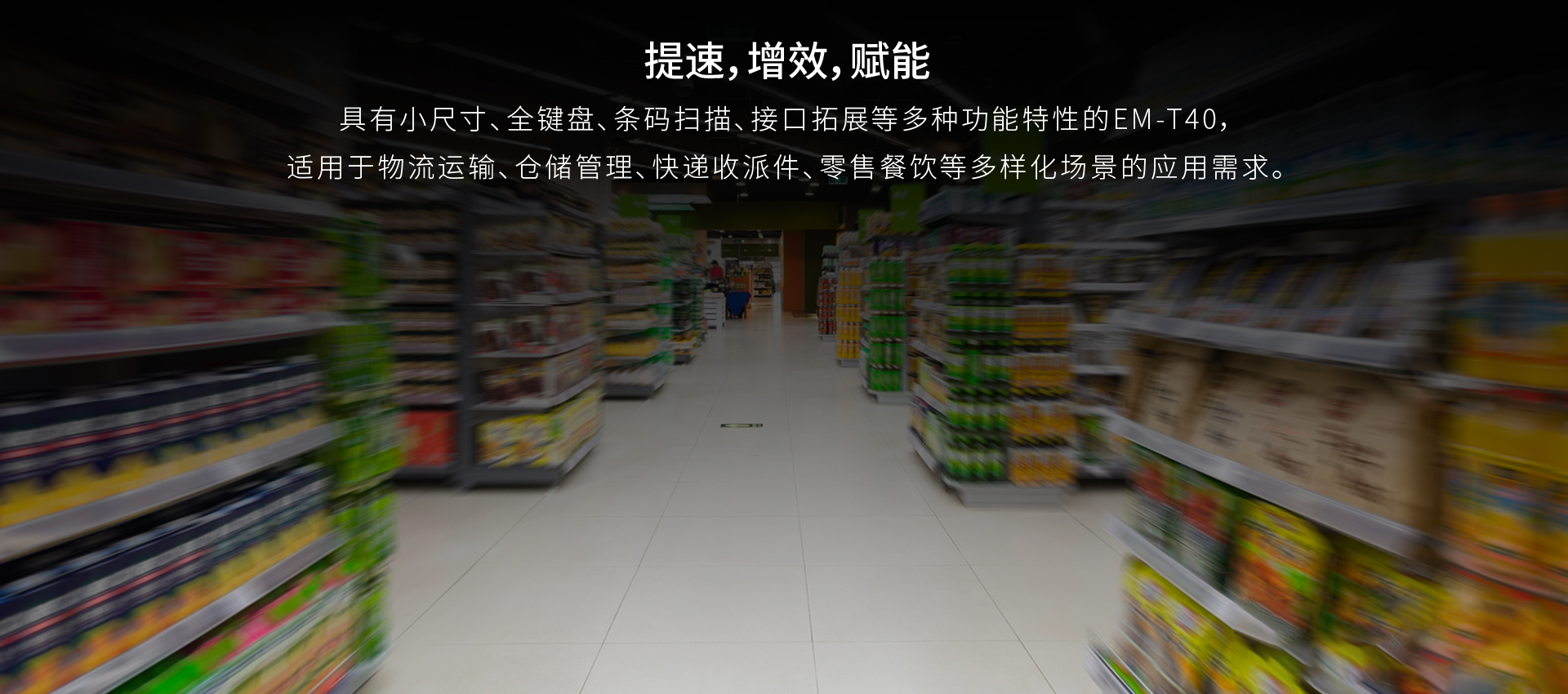 加固手持终端,T40