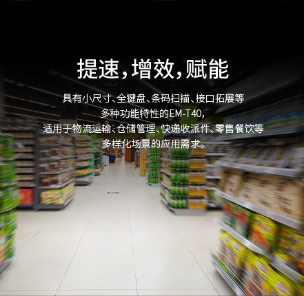 加固手持终端,T40